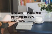 华测导航:上半年净利同比预增38.27%―43.96% 华测导航:上半年净利同比预增38.27%―43.96%