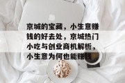 京城的宝藏,小生意赚钱的好去处,京城热门小吃与创业商机解析,小生意为何也能赚钱