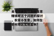 关于下乡做什么小生意赚钱呢这个问题的探讨,农家小生意,如何在农村地区实现盈利?