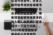 在当今社会中，许多人都开始考虑创业或者寻找投资方式。那么，在众多的小型生意中，哪些项目能够带来更多的收入呢？今天我们就来探讨一下这个问题。，2023年投资回报率最高的小生意类型