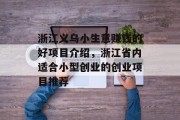 浙江义乌小生意赚钱的好项目介绍,浙江省内适合小型创业的创业项目推荐 浙江义乌小生意赚钱的好项目介绍,浙江省内适合小型创业的创业项目推荐