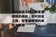农村创业之路，探索最赚钱的商机，农村创业之路，探索最赚钱的商机与策略