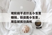 现阶段干点什么小生意赚钱，投资类小生意，现在就抓住商机