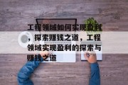 工程领域如何实现盈利，探索赚钱之道，工程领域实现盈利的探索与赚钱之道