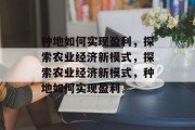 种地如何实现盈利,探索农业经济新模式,探索农业经济新模式,种地如何实现盈利