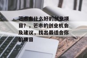 芒市有什么好的创业项目?,芒市的创业机会及建议,找出最适合你的项目