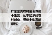 广东东莞农村适合做的小生意,从零起步的农村创业,哪些小生意能赚钱? 广东东莞农村适合做的小生意,从零起步的农村创业,哪些小生意能赚钱?