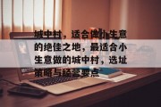 城中村,适合做小生意的绝佳之地,最适合小生意做的城中村,选址策略与经营要点