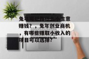 兔年可以做什么小生意赚钱?,兔年创业商机,有哪些赚取小收入的项目可以选择?