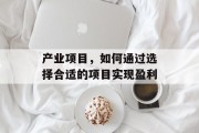 产业项目,如何通过选择合适的项目实现盈利 产业项目,如何通过选择合适的项目实现盈利
