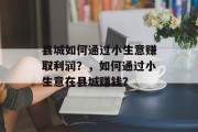 县城如何通过小生意赚取利润?,如何通过小生意在县城赚钱? 县城如何通过小生意赚取利润?,如何通过小生意在县城赚钱?
