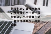 把握机会,寻找小商机,从赚钱的小生意中获取利润,小生意大市场,如何抓住商机,盈利获利 把握机会,寻找小商机,从赚钱的小生意中获取利润,小生意大市场,如何抓住商机,盈利获利