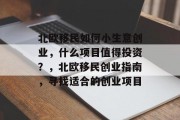 北欧移民如何小生意创业,什么项目值得投资?,北欧移民创业指南,寻找适合的创业项目