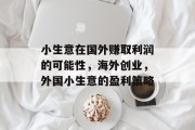 小生意在国外赚取利润的可能性,海外创业,外国小生意的盈利策略 小生意在国外赚取利润的可能性,海外创业,外国小生意的盈利策略