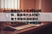 藤县什么小生意可以赚钱,藤县有什么好做?哪个项目投资前景好、有利润的创业项目介绍