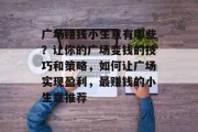 广场赚钱小生意有哪些？让你的广场变钱的技巧和策略，如何让广场实现盈利，最赚钱的小生意推荐