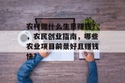 农村做什么生意赚钱？，农民创业指南，哪些农业项目前景好且赚钱快?