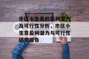 市区小生意的盈利潜力及可行性分析,市区小生意盈利潜力与可行性研究报告