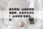 重庆啤酒:山城品牌销量剧降,未来何去何从? 山城啤酒 销量危机 重庆啤酒:山城品牌销量剧降,未来何去何从? 山城啤酒 销量危机