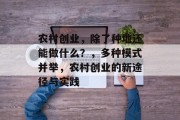农村创业,除了种地还能做什么?,多种模式并举,农村创业的新途径与实践