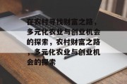 在农村寻找财富之路,多元化农业与创业机会的探索,农村财富之路,多元化农业与创业机会的探索 在农村寻找财富之路,多元化农业与创业机会的探索,农村财富之路,多元化农业与创业机会的探索