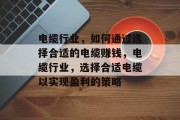 电缆行业,如何通过选择合适的电缆赚钱,电缆行业,选择合适电缆以实现盈利的策略