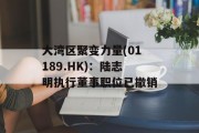 大湾区聚变力量(01189.HK):陆志明执行董事职位已撤销 大湾区聚变力量(01189.HK):陆志明执行董事职位已撤销