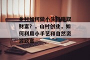 乡村如何做小生意赚取财富?,山村创业,如何利用小手艺和自然资源致富 乡村如何做小生意赚取财富?,山村创业,如何利用小手艺和自然资源致富