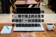 镇上什么小生意最赚钱?,哪个镇上的小生意最赚钱?一份详细调查报告帮你找出答案 镇上什么小生意最赚钱?,哪个镇上的小生意最赚钱?一份详细调查报告帮你找出答案