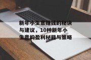 新年小生意赚钱的秘诀与建议,10种新年小生意的盈利秘籍与策略 新年小生意赚钱的秘诀与建议,10种新年小生意的盈利秘籍与策略