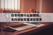 在农村做什么能赚钱，农村创业致富途径探索