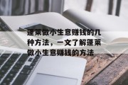 蓬莱做小生意赚钱的几种方法,一文了解蓬莱做小生意赚钱的方法 蓬莱做小生意赚钱的几种方法,一文了解蓬莱做小生意赚钱的方法