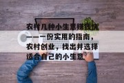 农村几种小生意赚钱快——一份实用的指南,农村创业,找出并选择适合自己的小生意 农村几种小生意赚钱快——一份实用的指南,农村创业,找出并选择适合自己的小生意