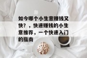 如今哪个小生意赚钱又快?,快速赚钱的小生意推荐,一个快速入门的指南 如今哪个小生意赚钱又快?,快速赚钱的小生意推荐,一个快速入门的指南