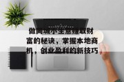  做同城小生意赚取财富的秘诀，掌握本地商机，创业盈利的新技巧