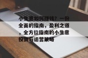 小生意如何赚钱?一份全面的指南,盈利之道,全方位指南的小生意投资与运营策略 小生意如何赚钱?一份全面的指南,盈利之道,全方位指南的小生意投资与运营策略