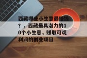 西藏哪些小生意最赚钱?,西藏最具潜力的10个小生意,赚取可观利润的创业项目 西藏哪些小生意最赚钱?,西藏最具潜力的10个小生意,赚取可观利润的创业项目