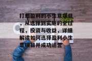 打造盈利的小生意项目,从选择到实施的全过程,投资与收益,详细解读如何选择盈利小生意项目并成功运营