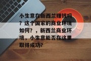 小生意在新西兰赚钱吗?这个国家的商业环境如何?,新西兰商业环境,小生意能否在这里取得成功? 小生意在新西兰赚钱吗?这个国家的商业环境如何?,新西兰商业环境,小生意能否在这里取得成功?
