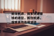 抓住机遇,探索快速赚钱的途径,抓住机遇,探索高效盈利途径 抓住机遇,探索快速赚钱的途径,抓住机遇,探索高效盈利途径