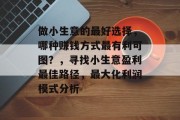 做小生意的最好选择,哪种赚钱方式最有利可图?,寻找小生意盈利最佳路径,最大化利润模式分析