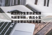 商丘的小生意创业选择与前景分析,商丘小生意创业建议与前景展望 商丘的小生意创业选择与前景分析,商丘小生意创业建议与前景展望