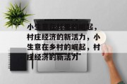 小生意在村里的崛起，村庄经济的新活力，小生意在乡村的崛起，村庄经济的新活力