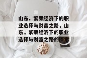山东，繁荣经济下的职业选择与财富之路，山东，繁荣经济下的职业选择与财富之路的探索