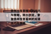 德州小生意赚钱的技巧与策略,微小创业,掌握德州生意盈利的关键技巧和策略 德州小生意赚钱的技巧与策略,微小创业,掌握德州生意盈利的关键技巧和策略