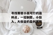 寻找那些小而可行的盈利点,一招制胜,小投入,大收益的盈利策略