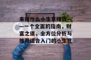 来做什么小生意赚钱——一个全面的指南,财富之道,全方位分析与推荐适合入门的小生意 来做什么小生意赚钱——一个全面的指南,财富之道,全方位分析与推荐适合入门的小生意