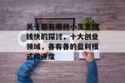 关于都有哪种小生意赚钱快的探讨,十大创业领域,各有各的盈利模式和速度