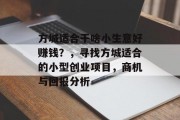 方城适合干啥小生意好赚钱?,寻找方城适合的小型创业项目,商机与回报分析