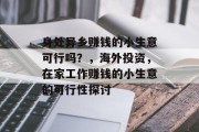 身处异乡赚钱的小生意可行吗?,海外投资,在家工作赚钱的小生意的可行性探讨